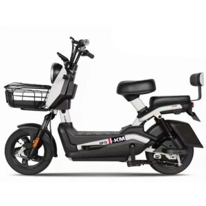 Xe Điện Sarune G5
