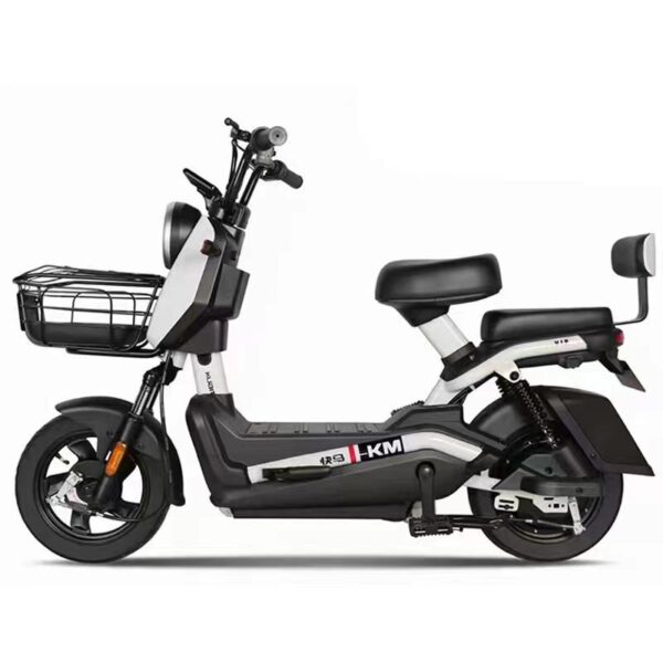 Xe Điện Sarune G5